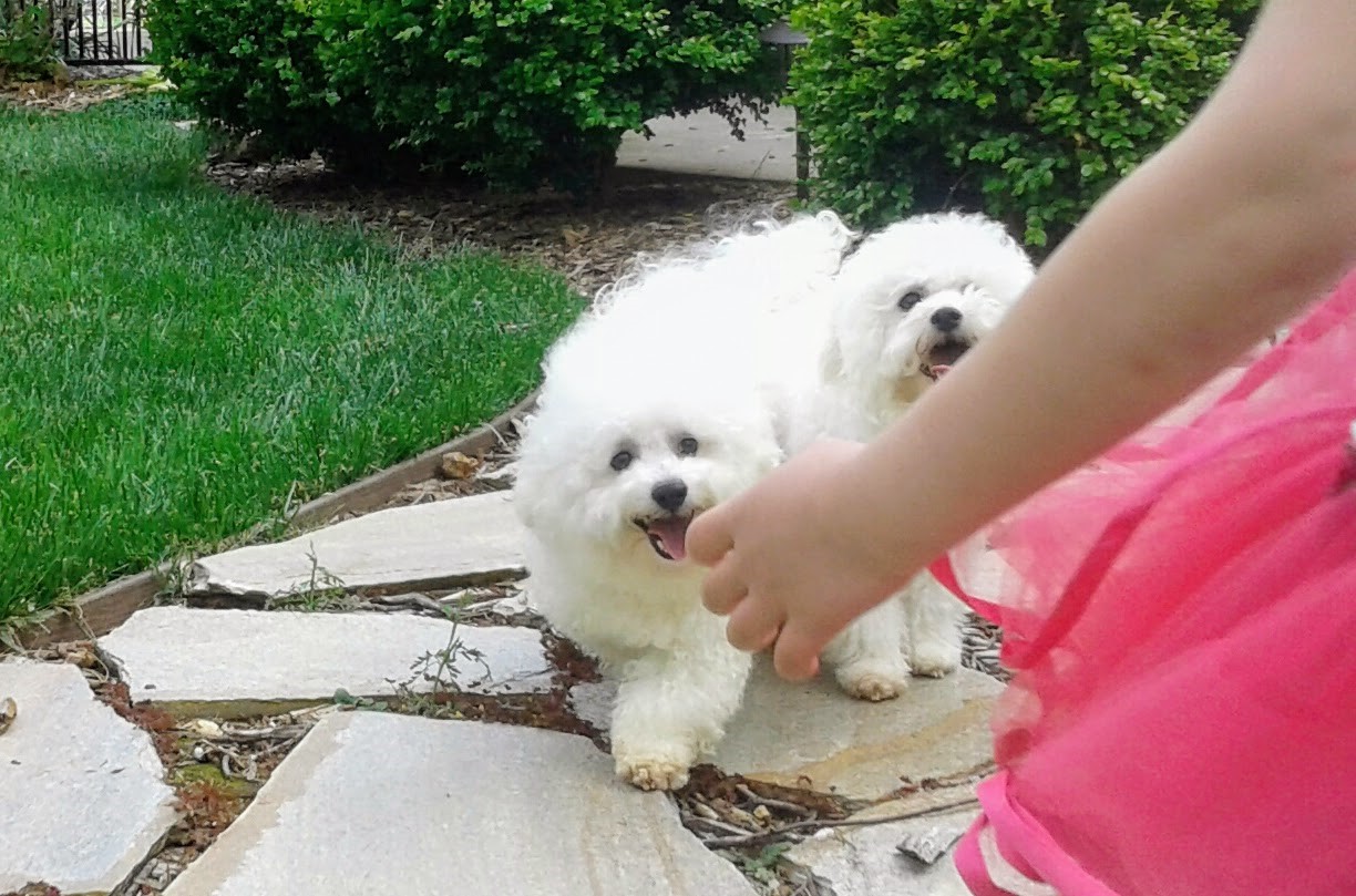 Julia Giorgio and Cindy